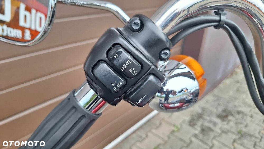 Harley-Davidson Softail - 12
