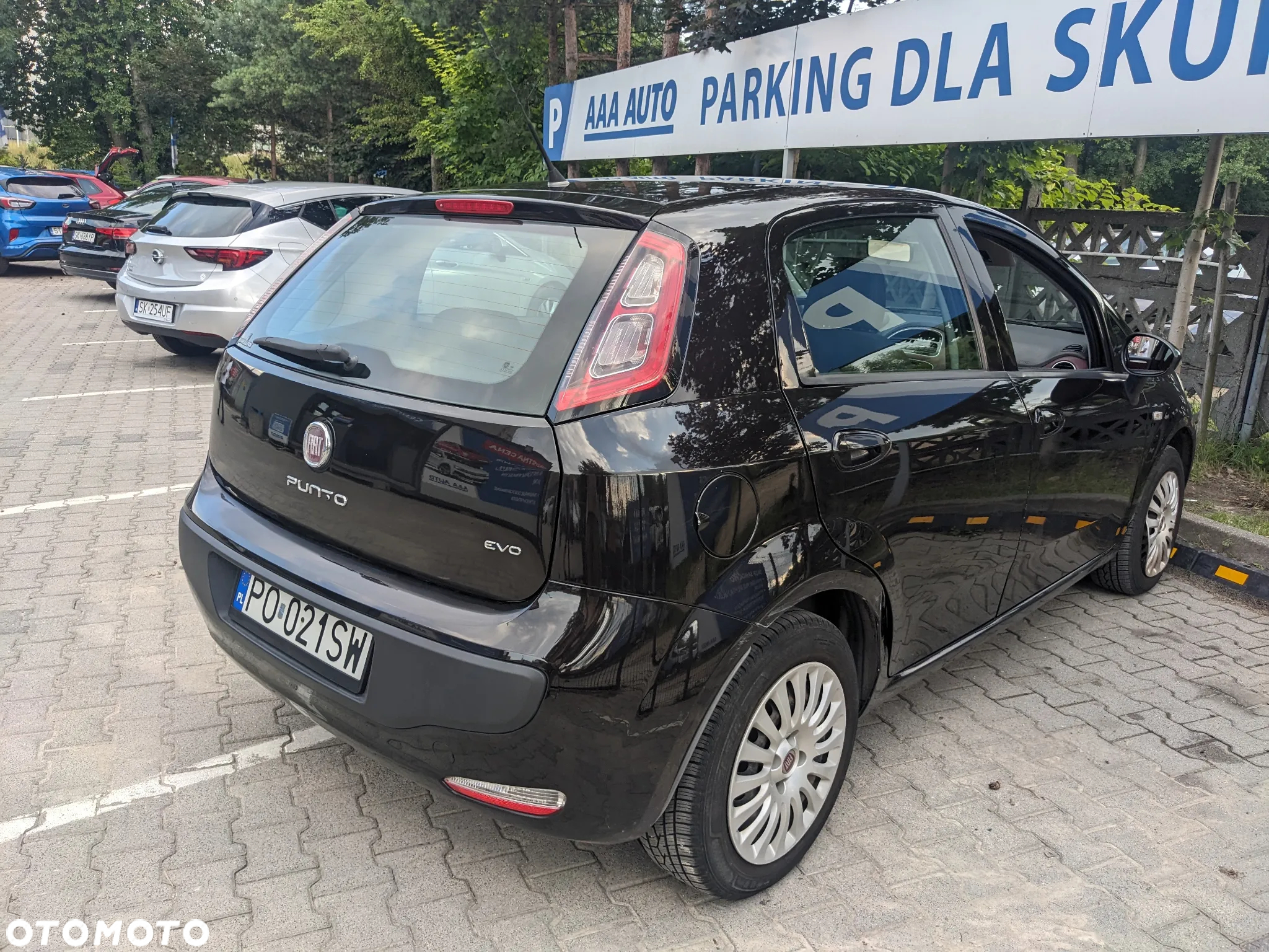 Fiat Punto Evo 1.4 8V Dynamic Dualogic - 5