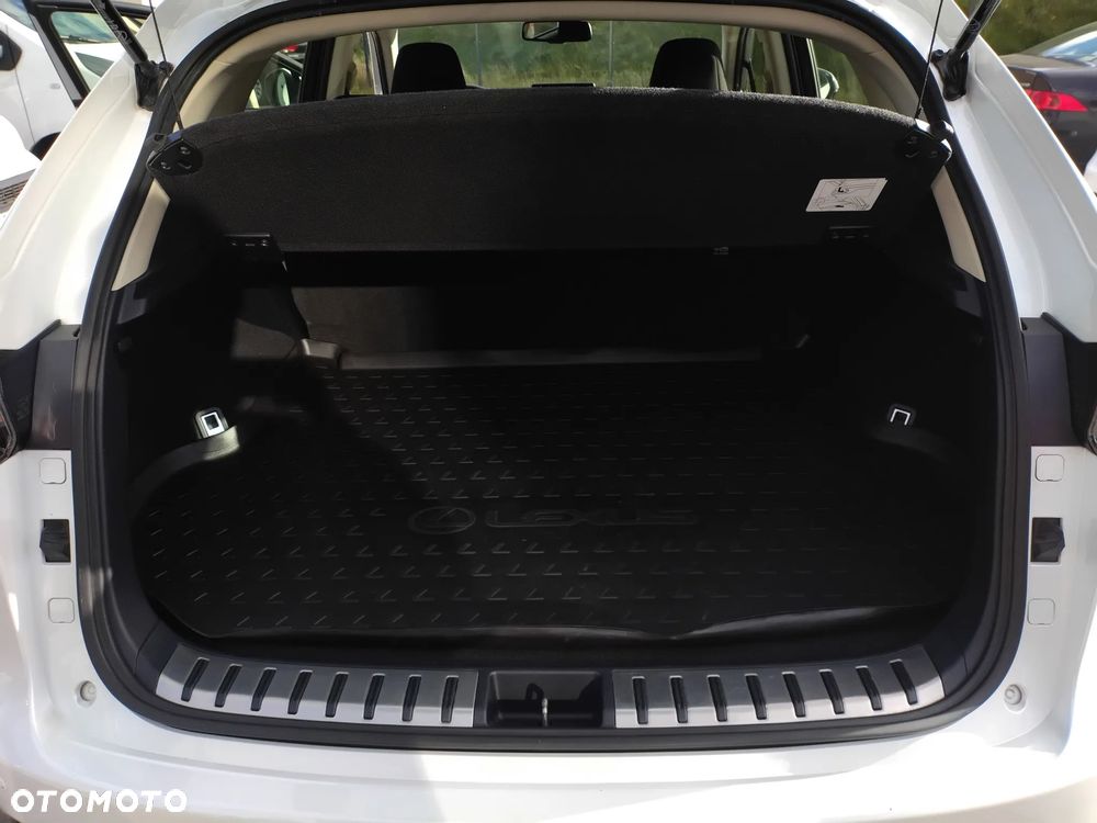 Lexus NX 300 Business Edition AWD - 18