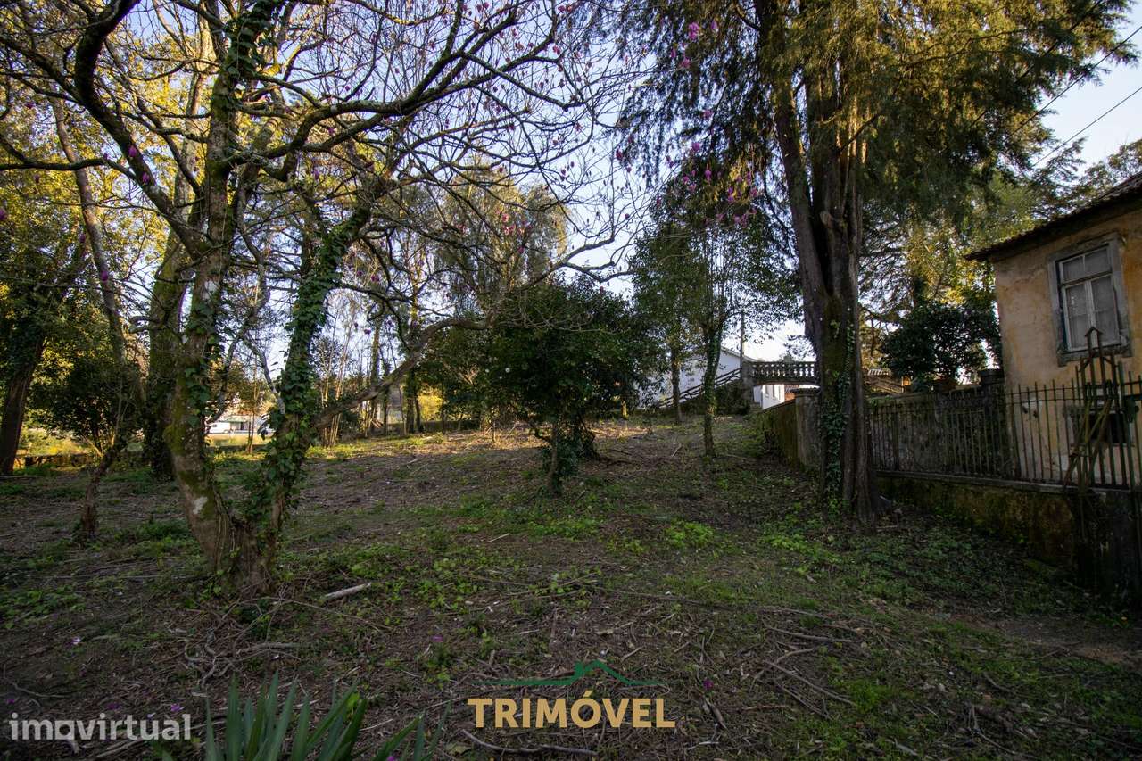 Quinta Secular  em  Santiago de Riba-Ul, Oliveira de Azeméis - Grande imagem: 5/34
