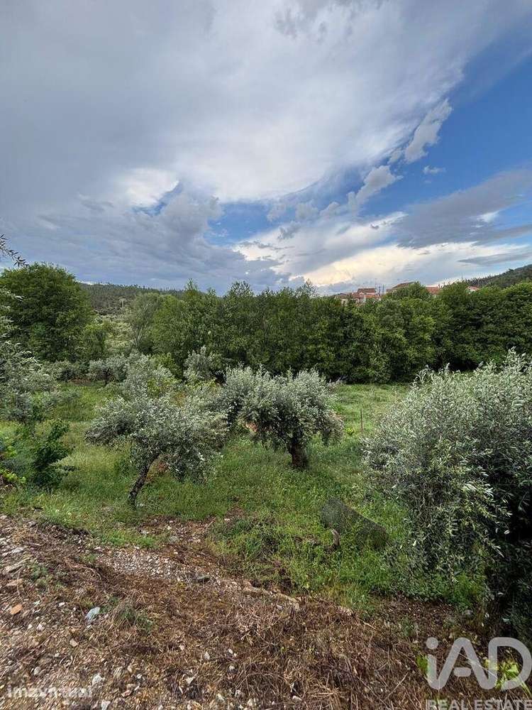 Terreno em Sarzedas - Grande imagem: 4/6