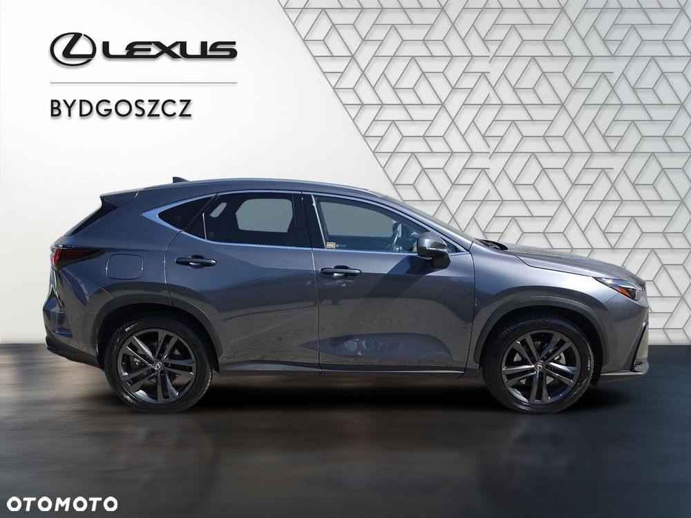 Lexus NX - 6