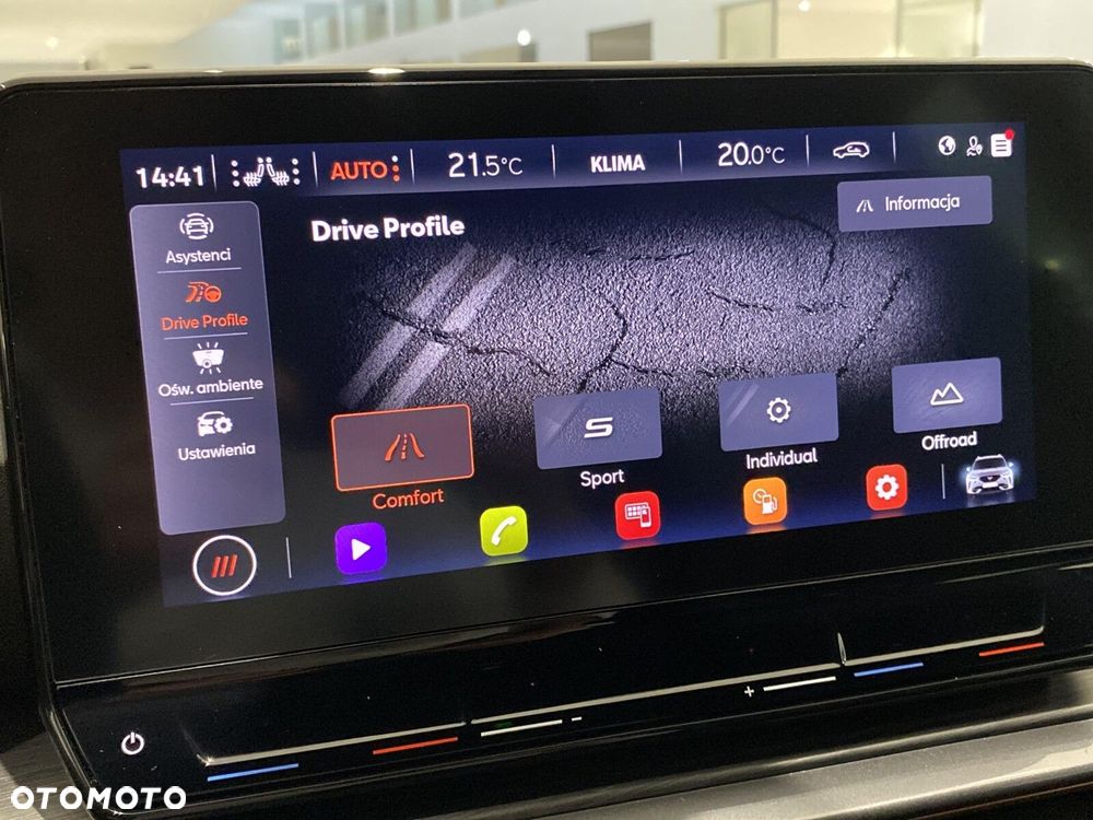 Cupra Formentor 2.0 TSI 4Drive DSG - 31