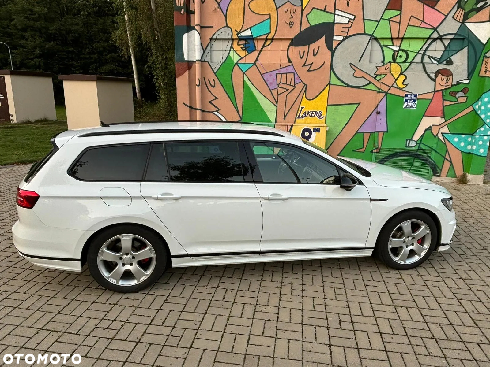 Volkswagen Passat 2.0 TDI Bi-Turbo BMT 4Mot Highline DSG - 7