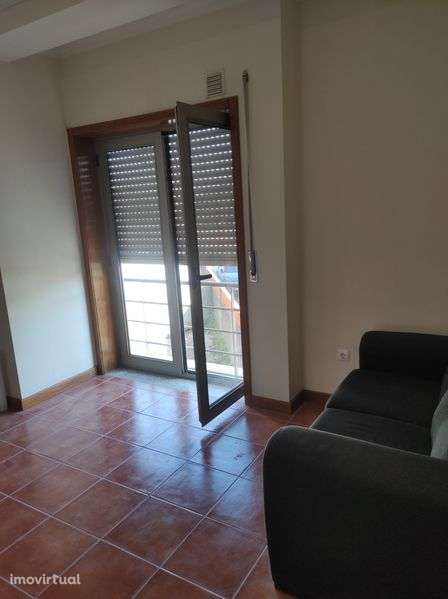 T0+1 Aveiro Glicinias - Grande imagem: 2/8