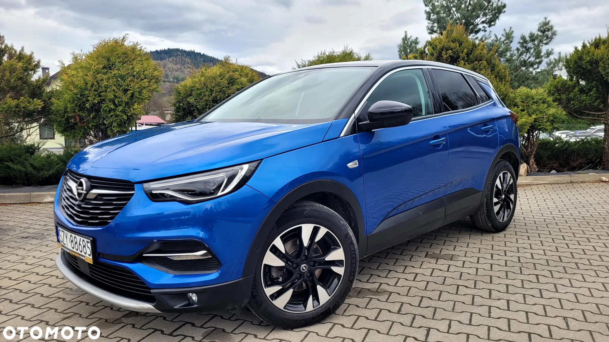 Opel Grandland X 1.6 T Ultimate S&S - 2
