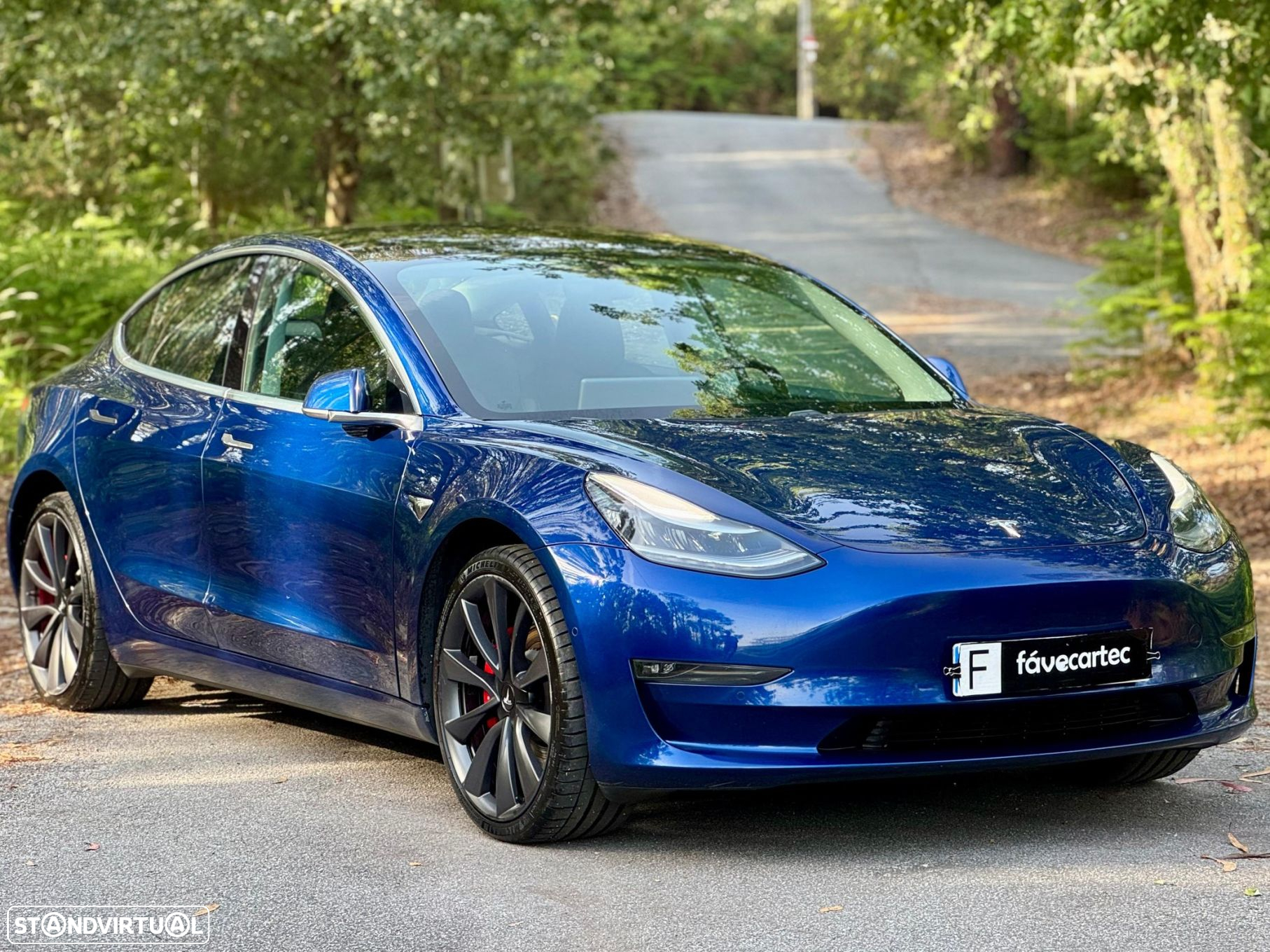 Tesla Model 3 Performance Dual Motor AWD - 14