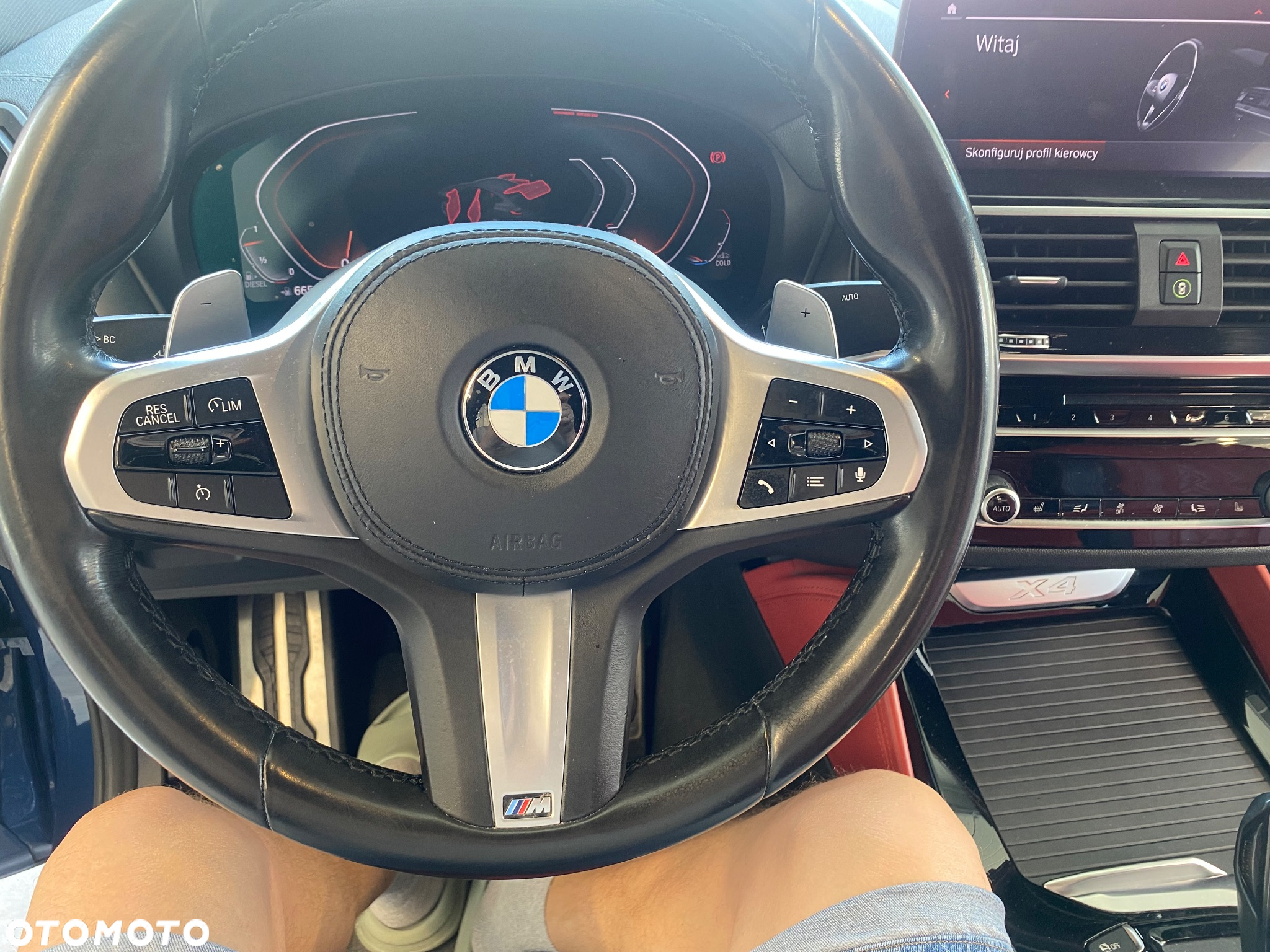 BMW X4 xDrive25d xLine sport - 19