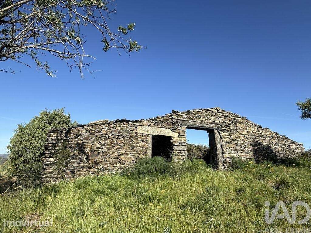 Terreno Agrícola em Vila Nova de Foz Côa - Grande imagem: 3/14