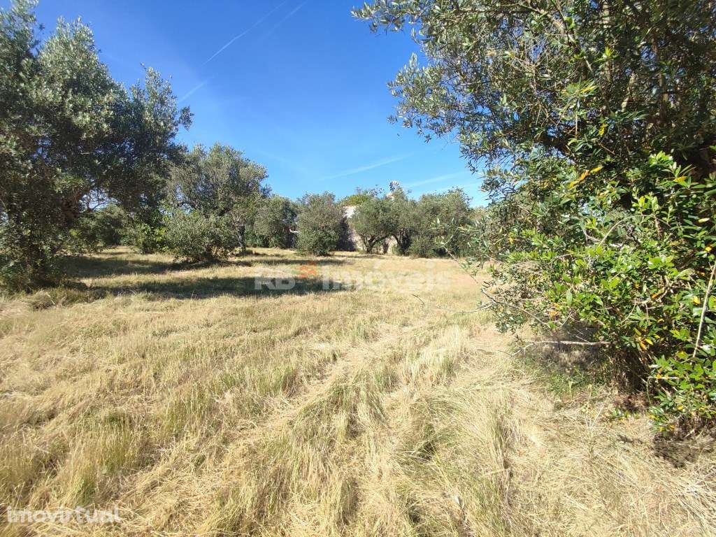 Dois Terrenos Urbanizáveis com 2480 m2 - Pesqueira, Tomar - Grande imagem: 2/45