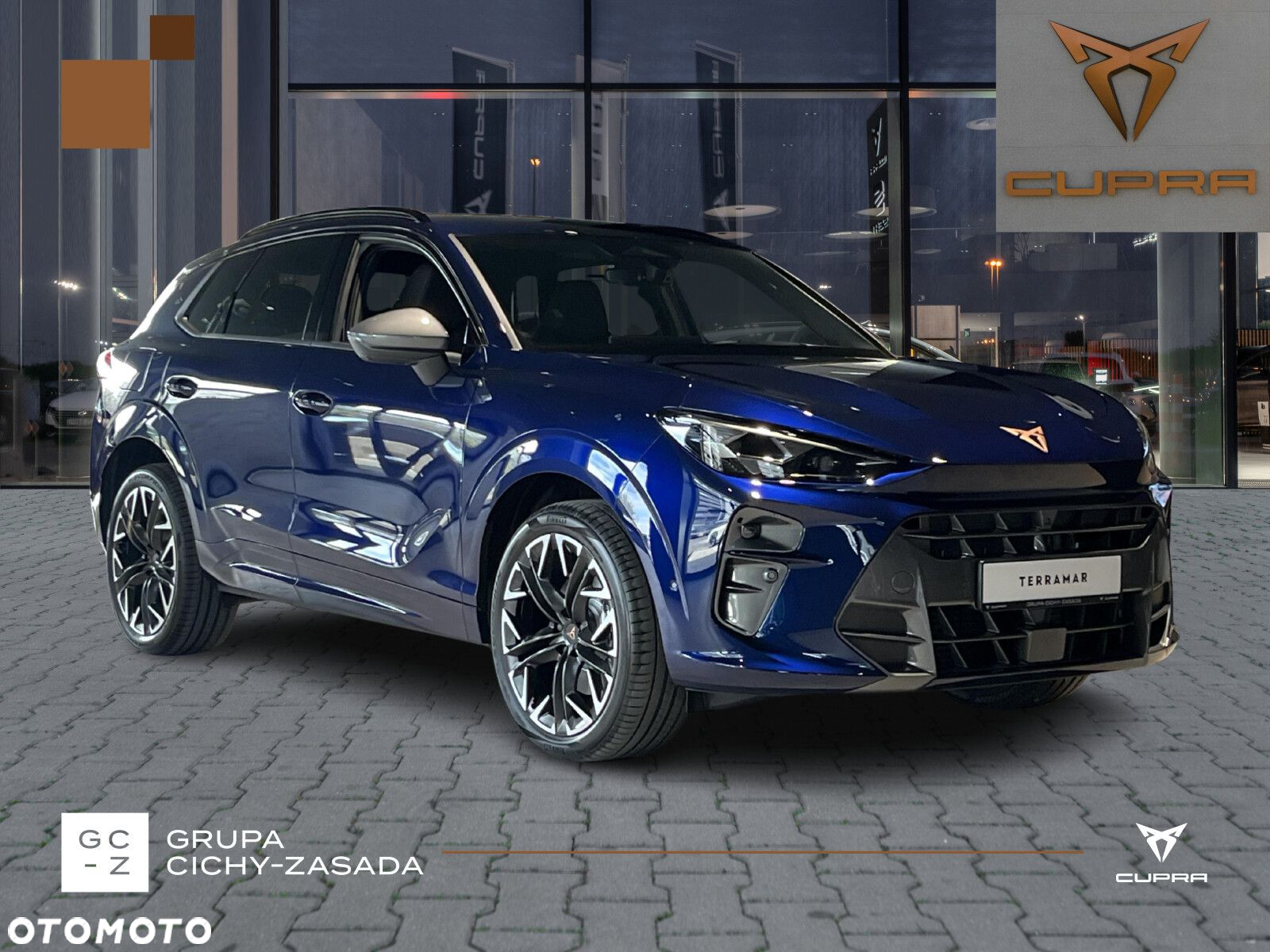 Cupra Terramar - 7