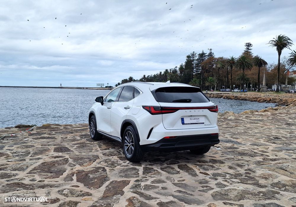 Lexus NX 450h+ - 16