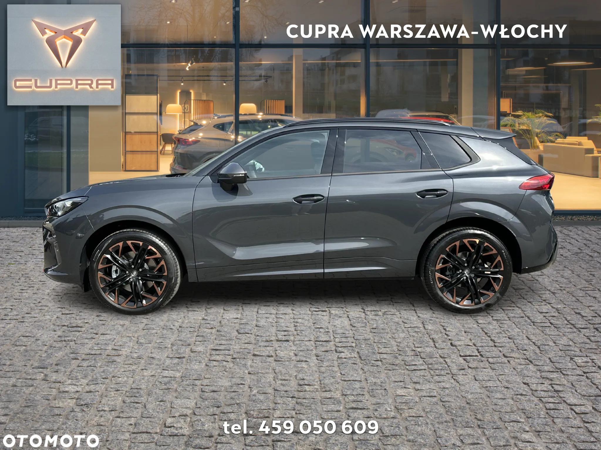 Cupra Terramar 2.0 TSI 4Drive DSG - 2