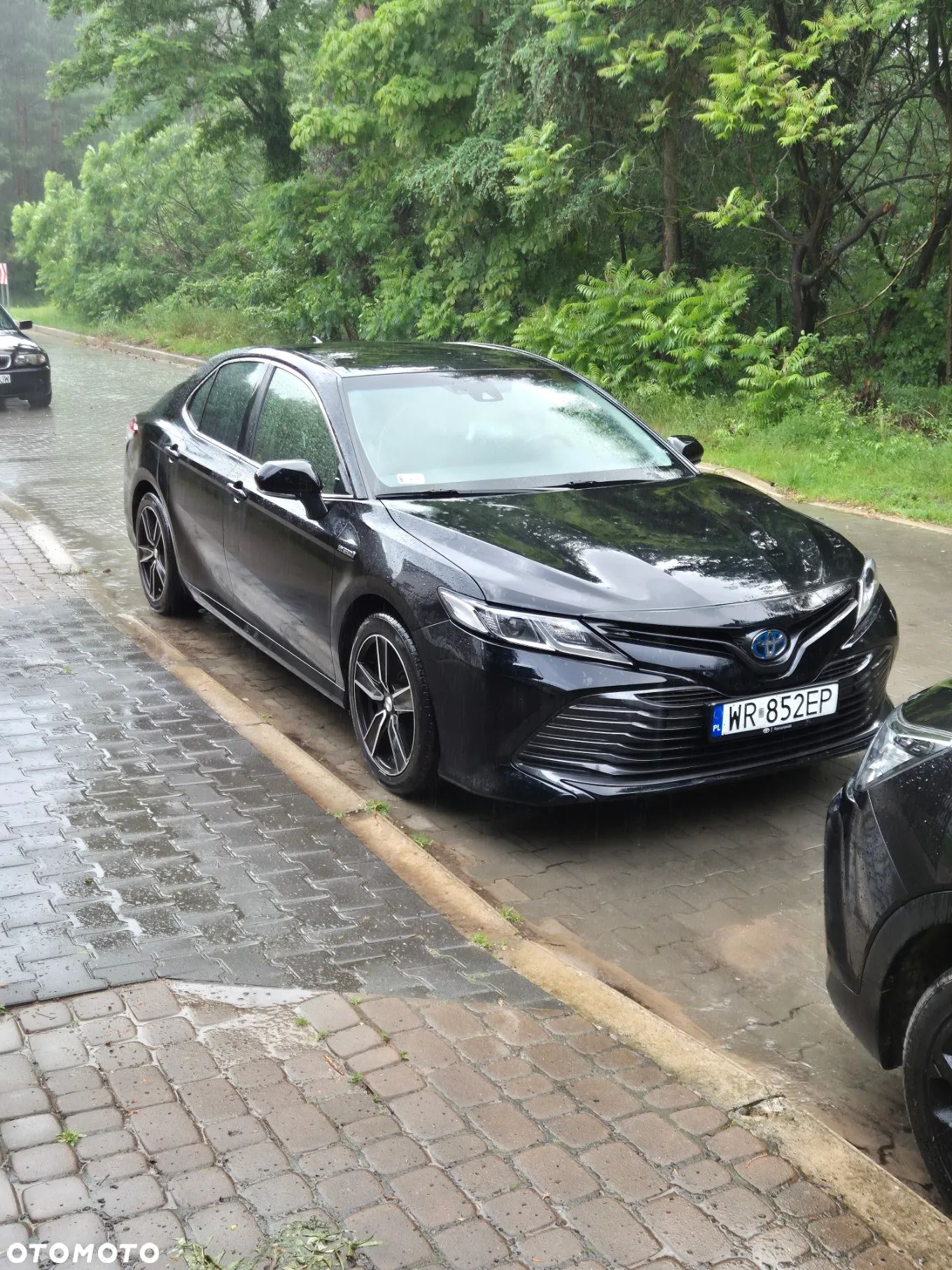 Toyota Camry - 1