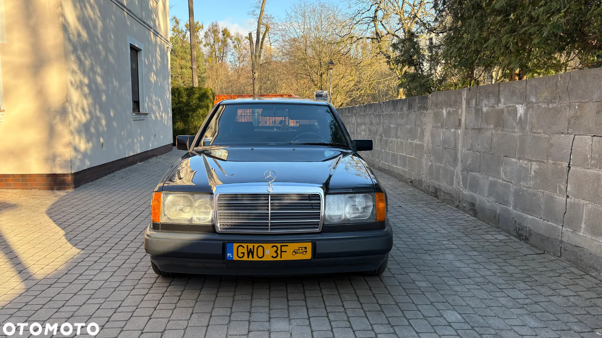 Mercedes-Benz W124 (1984-1993) - 2