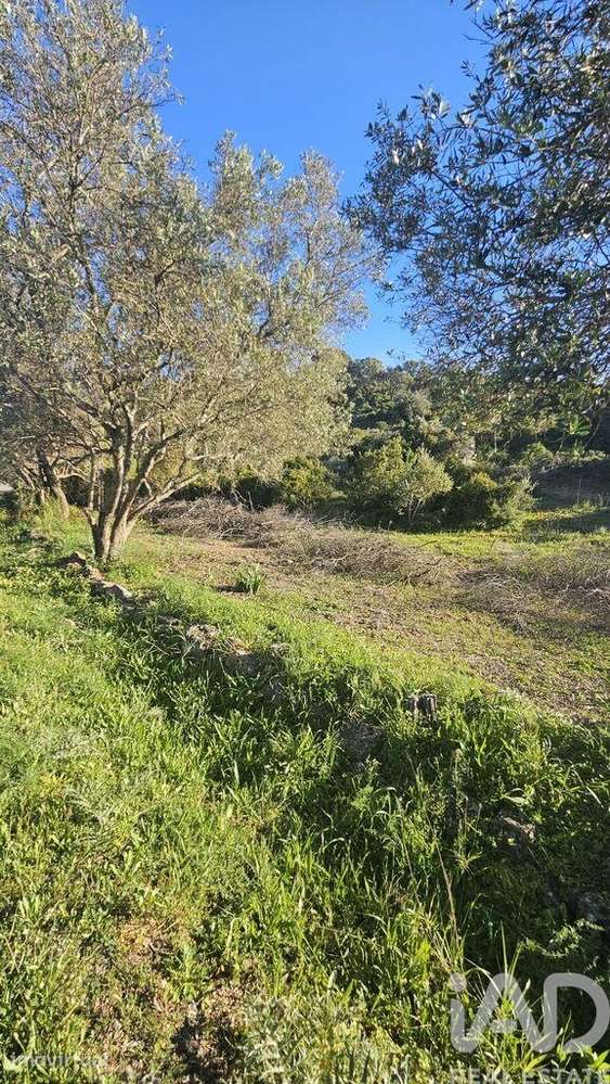 Terreno em Loulé (São Clemente) - Grande imagem: 4/8