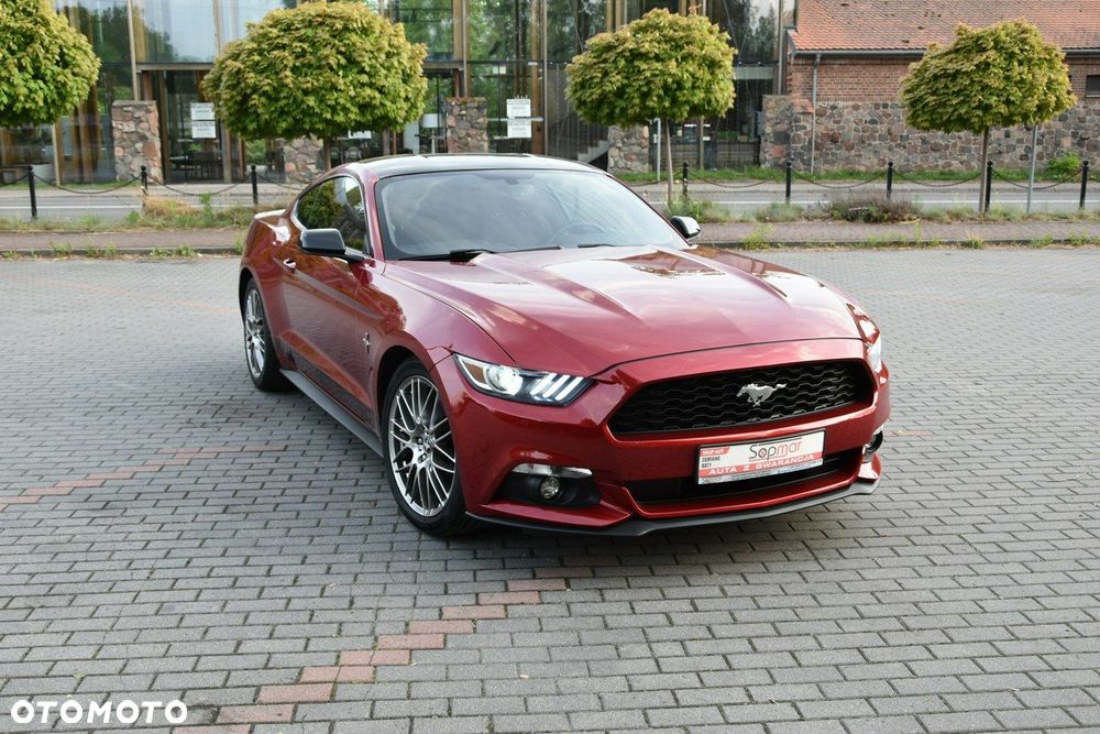 Ford Mustang - 16