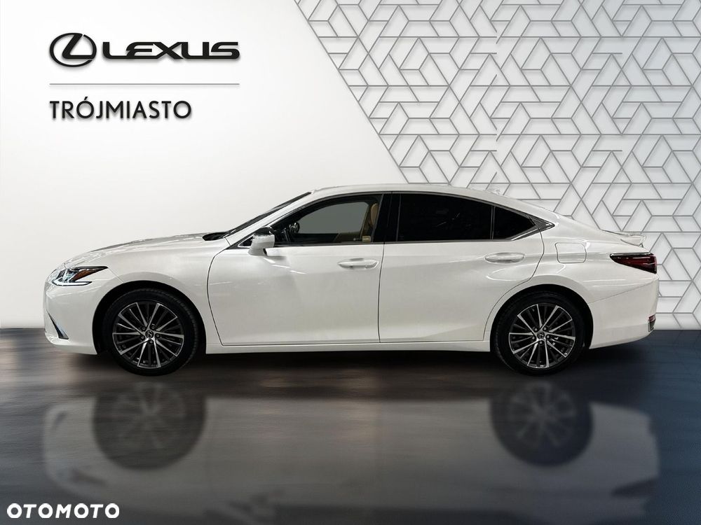 Lexus ES 300h Business Edition - 10