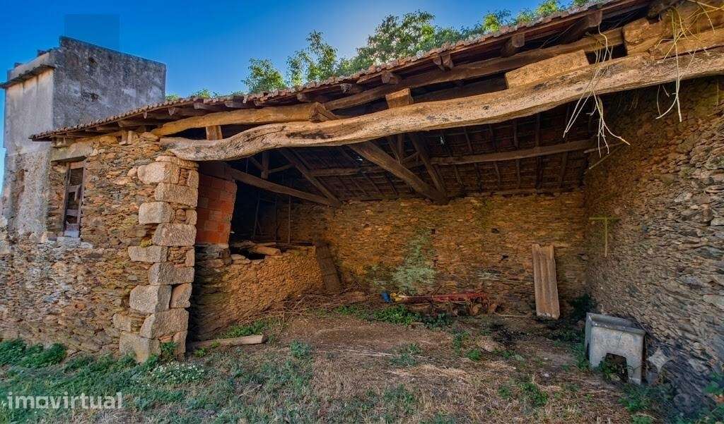 Moradia Tradicional Transmontana em Pedra com Terreno, Adegas e Pombal - Grande imagem: 5/50