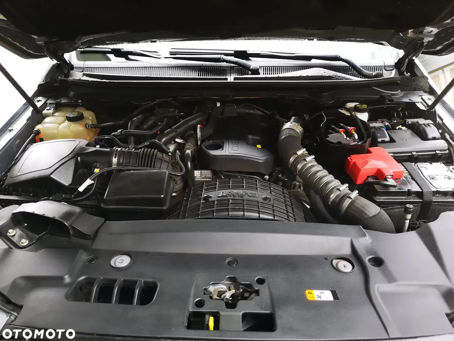 Ford Ranger 2.0 EcoBlue 4x4 DC Raptor - 19