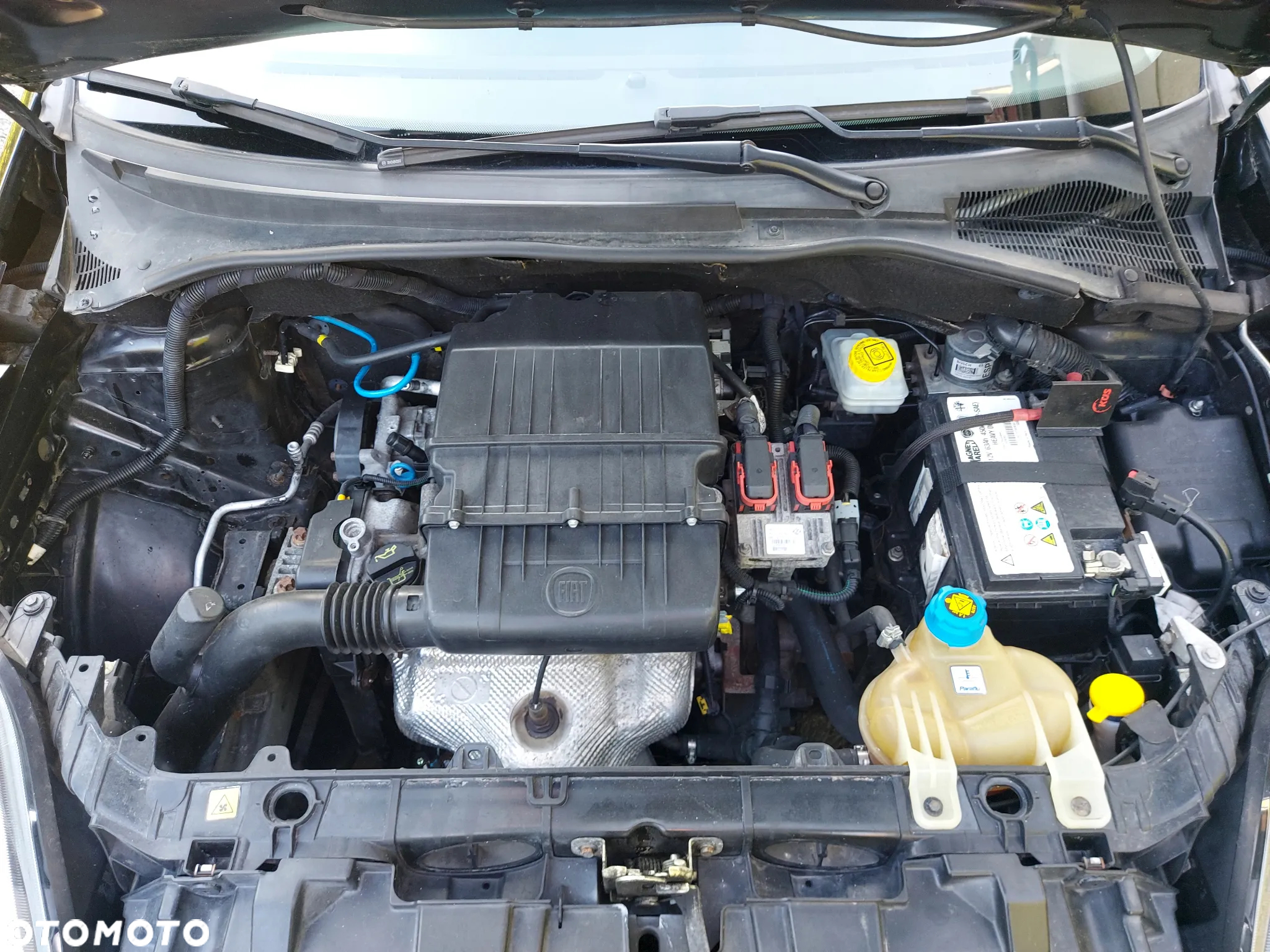 Fiat Punto Evo 1.4 8V Dynamic - 25