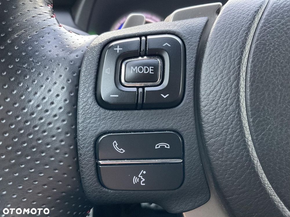 Lexus NX 300h F Sport Edition AWD - 19