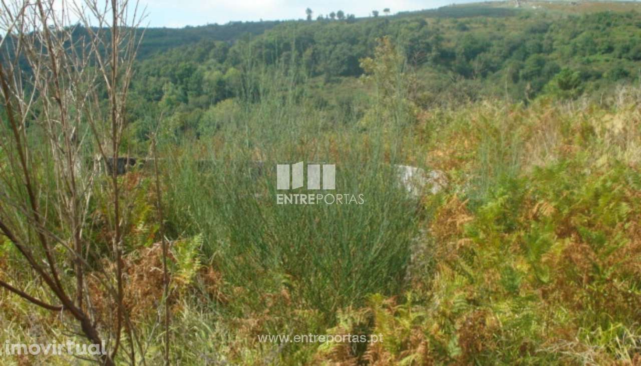 Venda Terreno, Gestaçô, Baião - Grande imagem: 3/4