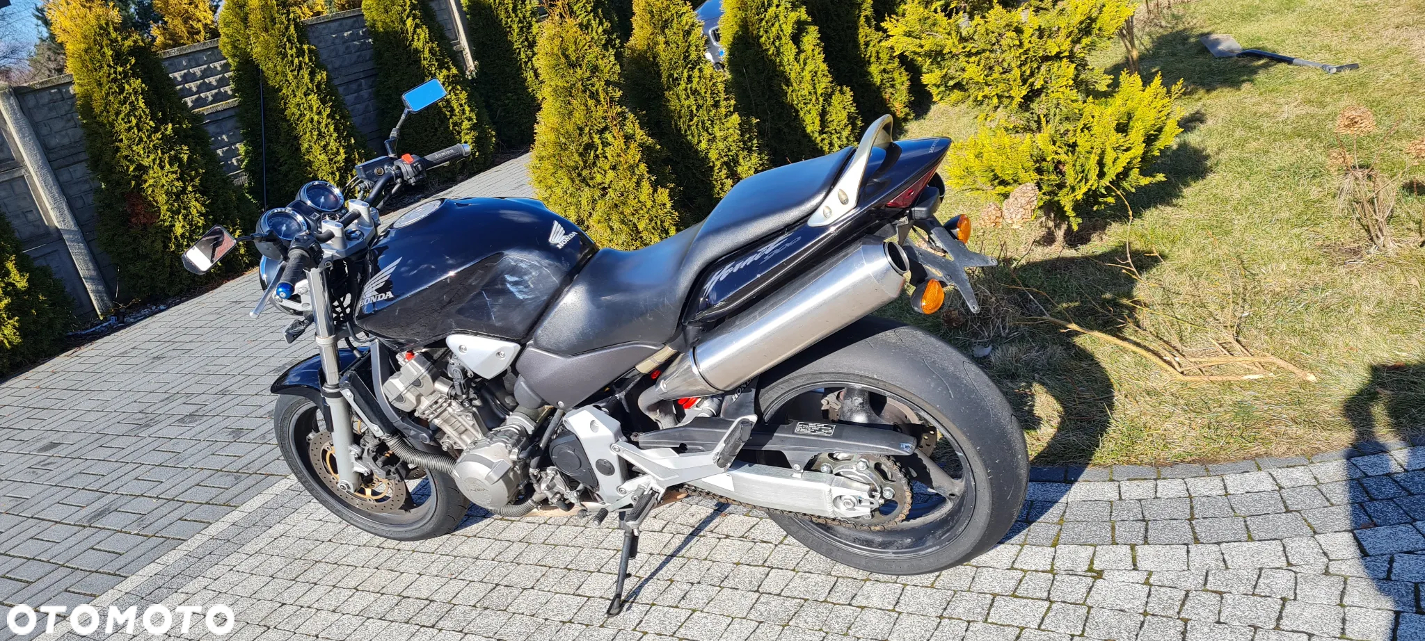 Honda Hornet - 8