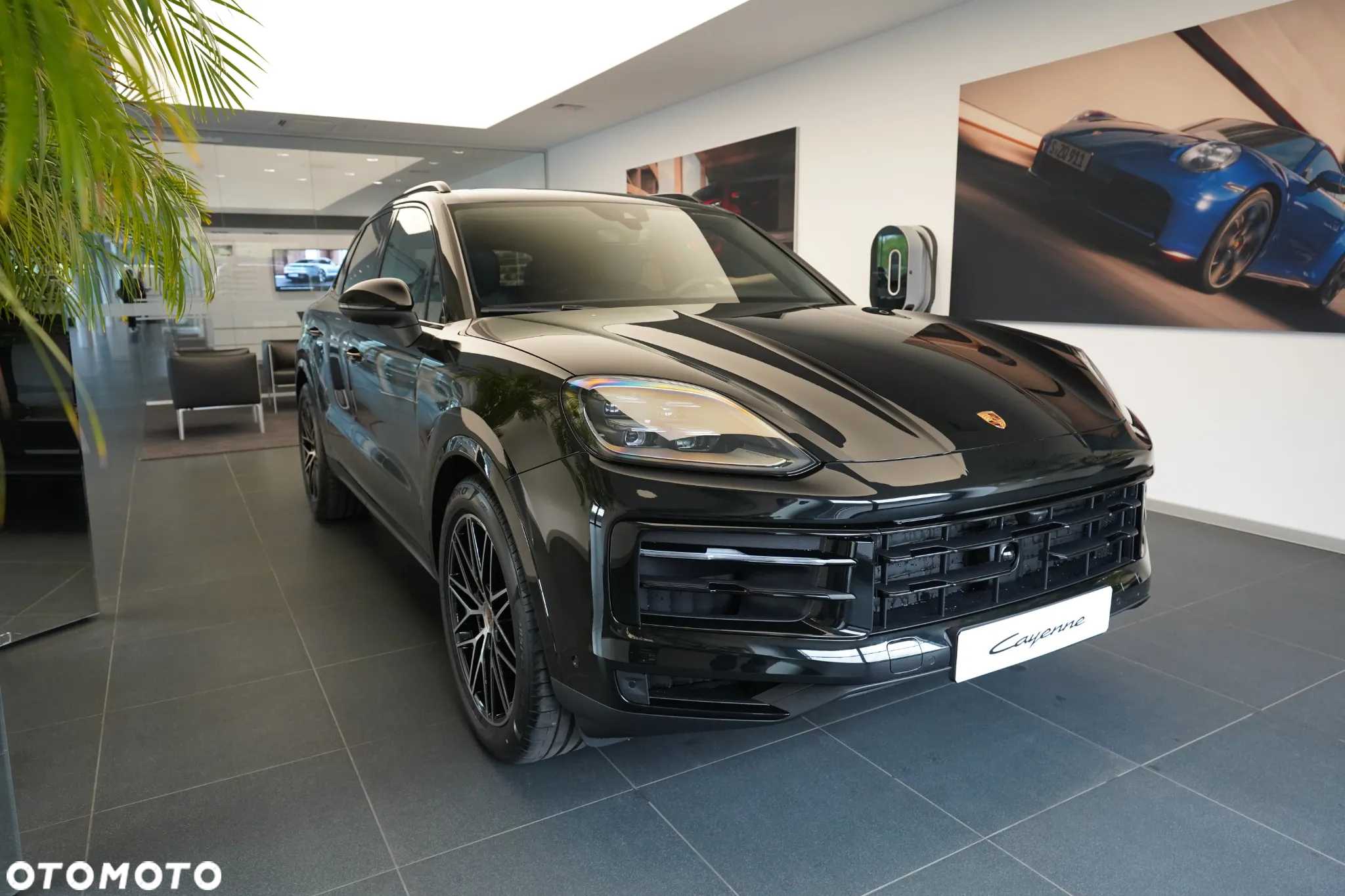 Porsche Cayenne Standard - 8