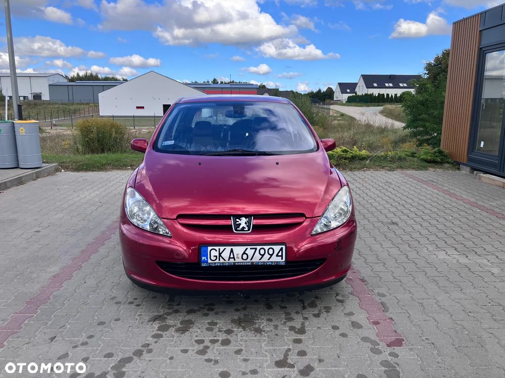 Peugeot 307 - 21