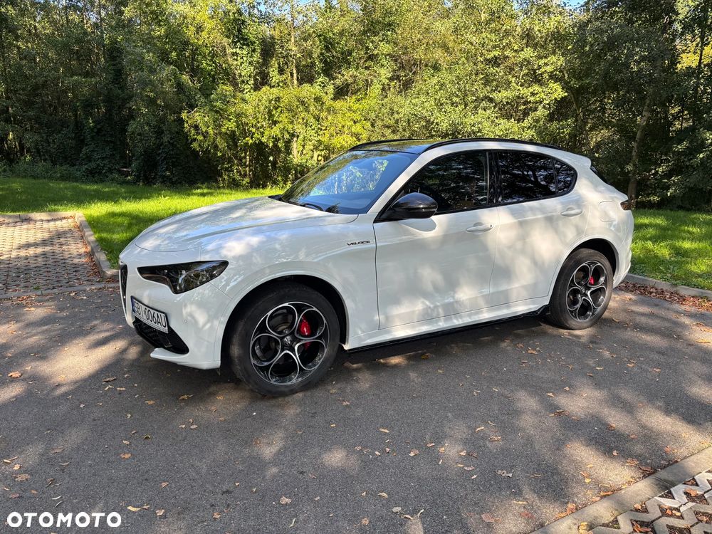 Alfa Romeo Stelvio - 17