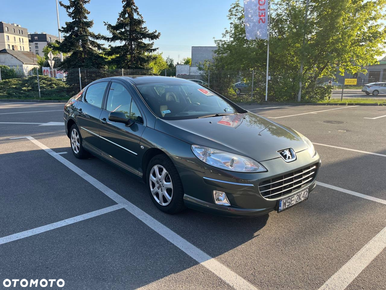 Peugeot 407 1.6 HDi Premium - 10