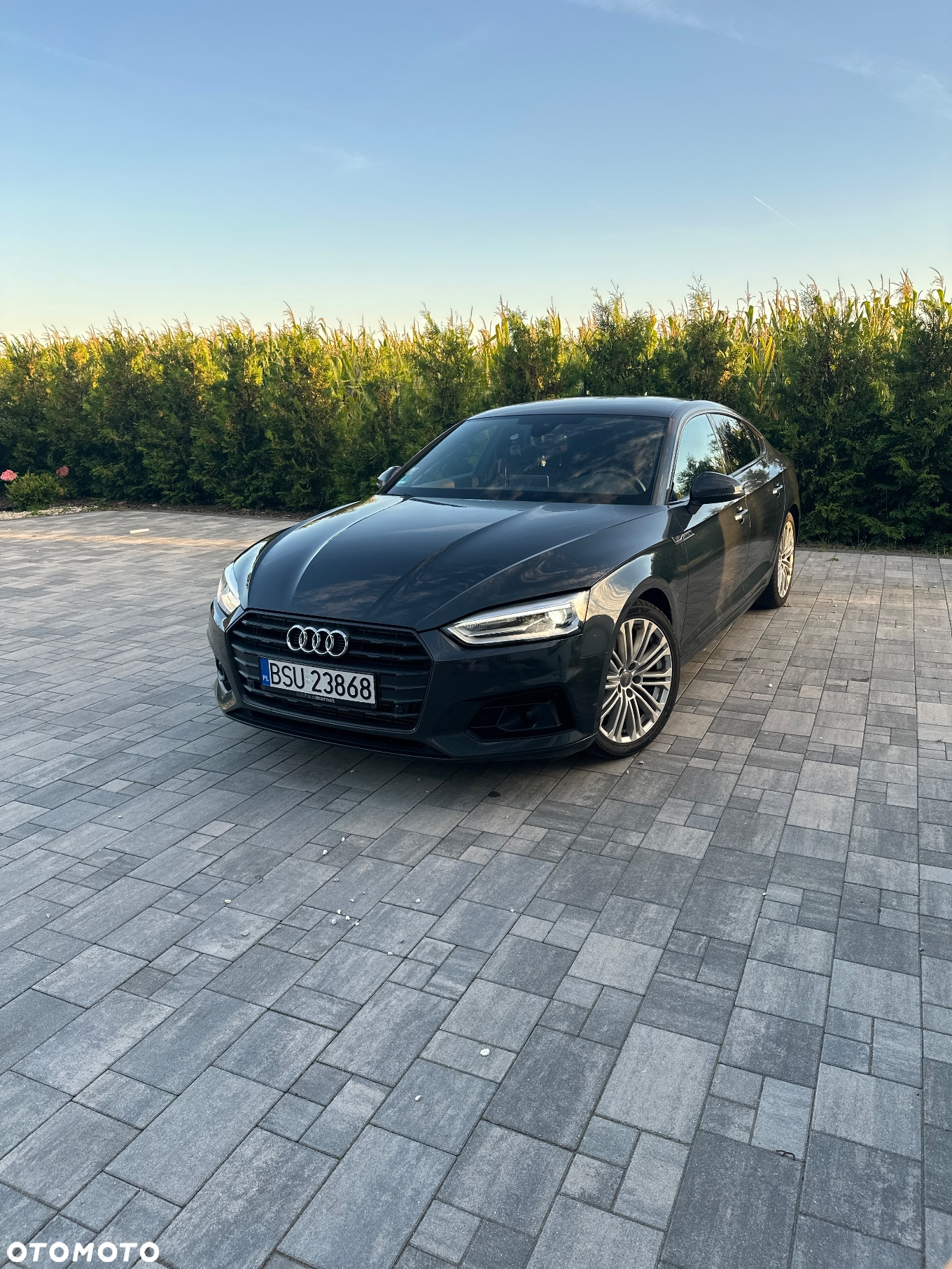 Audi A5 ver-2-0-tfsi-sport-s-tronic - 5