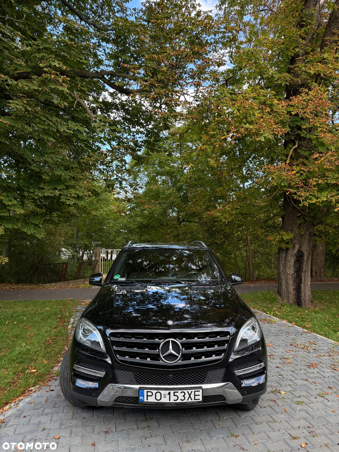Mercedes-Benz ML 350 BlueTec 4-Matic - 2