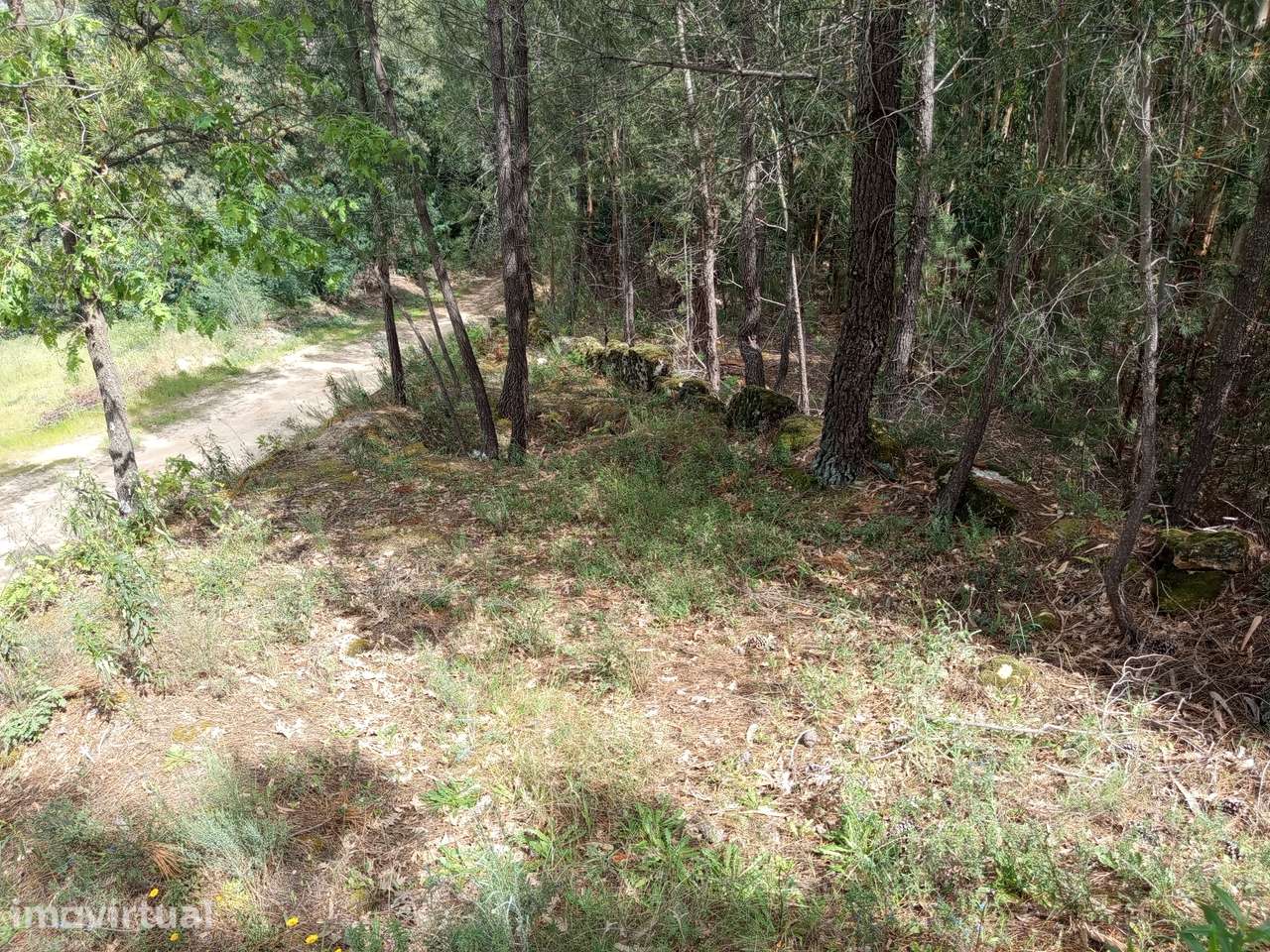 Terreno Escarigo - Grande imagem: 4/8