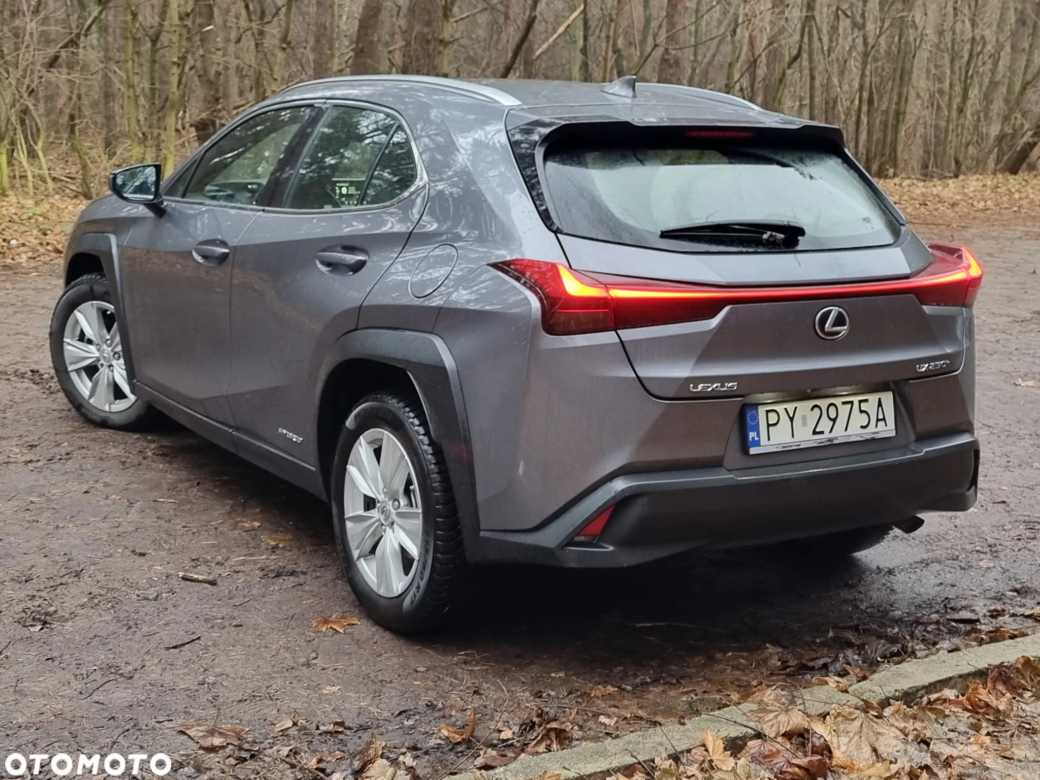 Lexus UX - 5