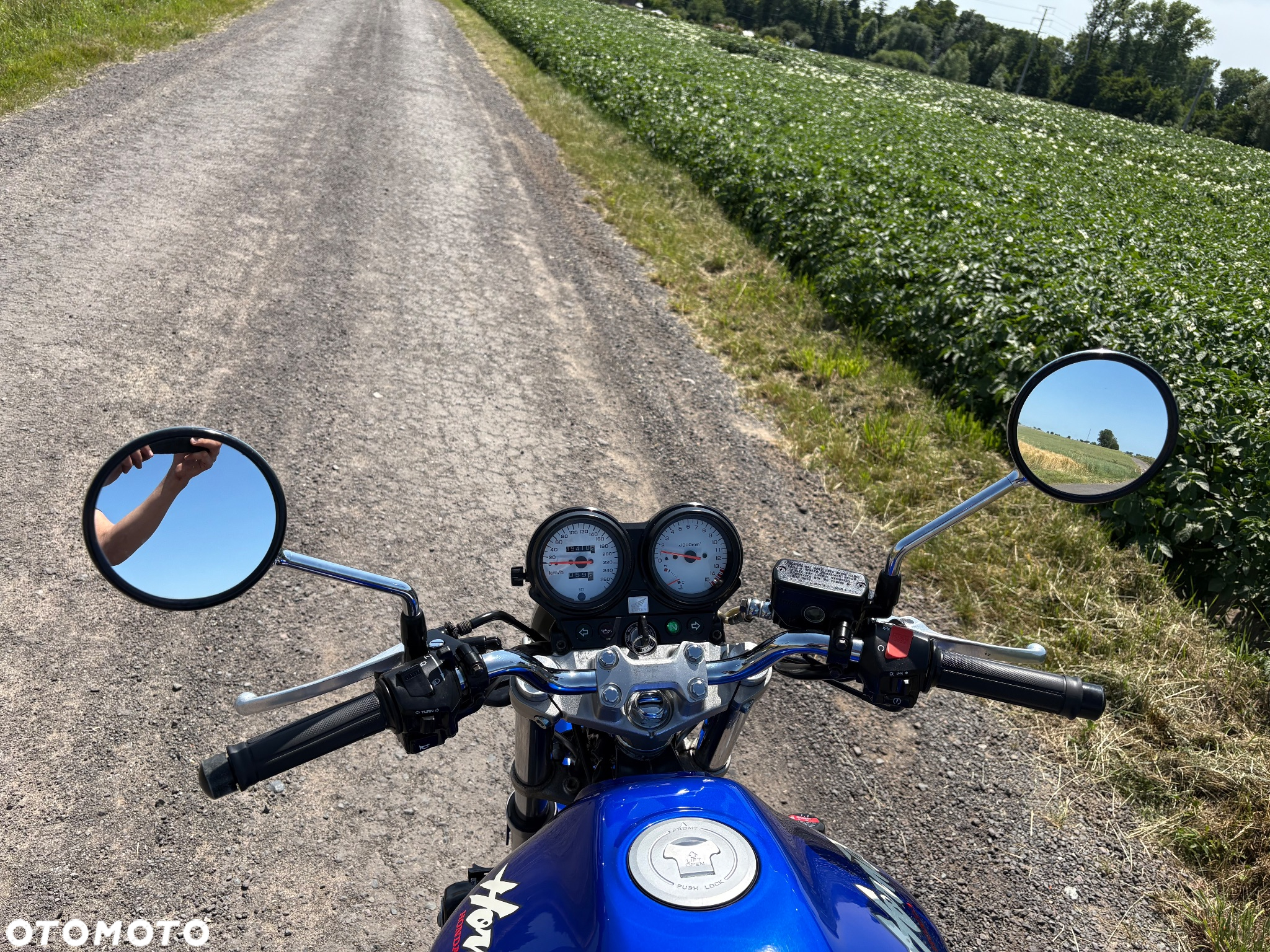 Honda Hornet - 14