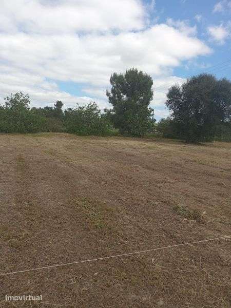 Terreno 450m2 ,6mil de entrada p/casa movel - Grande imagem: 5/12