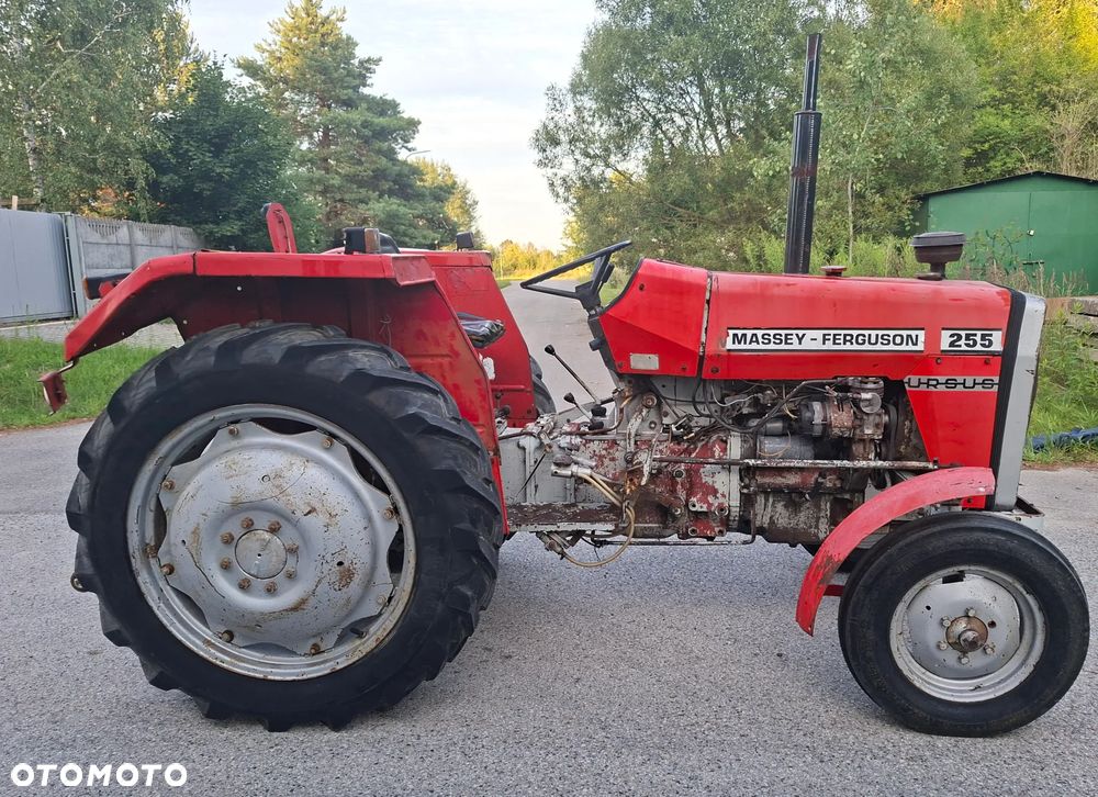 Massey Ferguson FERGUSON 255 - 3