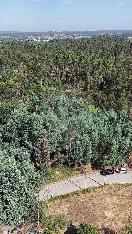 Terreno para construção | 10 min do Centro de Águeda - Grande imagem: 4/10
