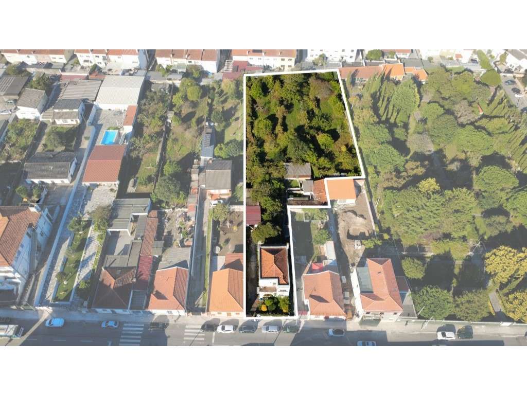 Propriedade para recuperação ou construção em altura - Grande imagem: 5/6