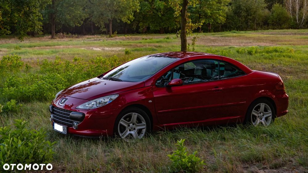 Peugeot 307 CC - 8