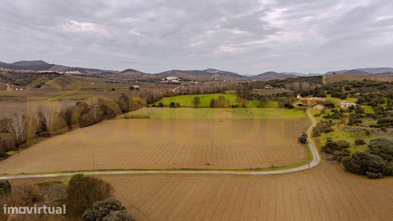 Quinta do Arieiro em Vila Nova de Foz Côa - Grande imagem: 3/52