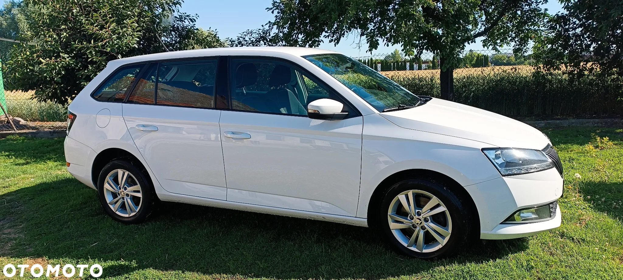 Skoda Fabia 1.0 TSI Ambition - 2