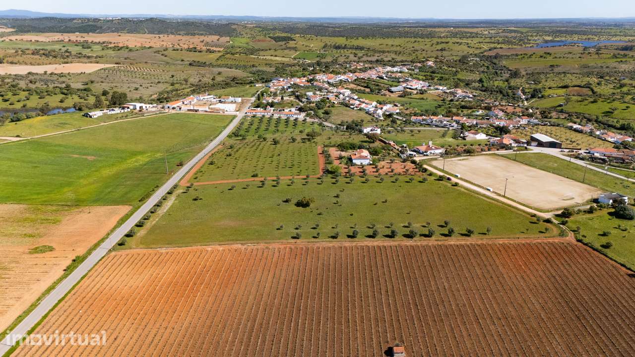 Terreno no concelho de Reguengos de Monsaraz com Projeto de arquitetur - Grande imagem: 4/11