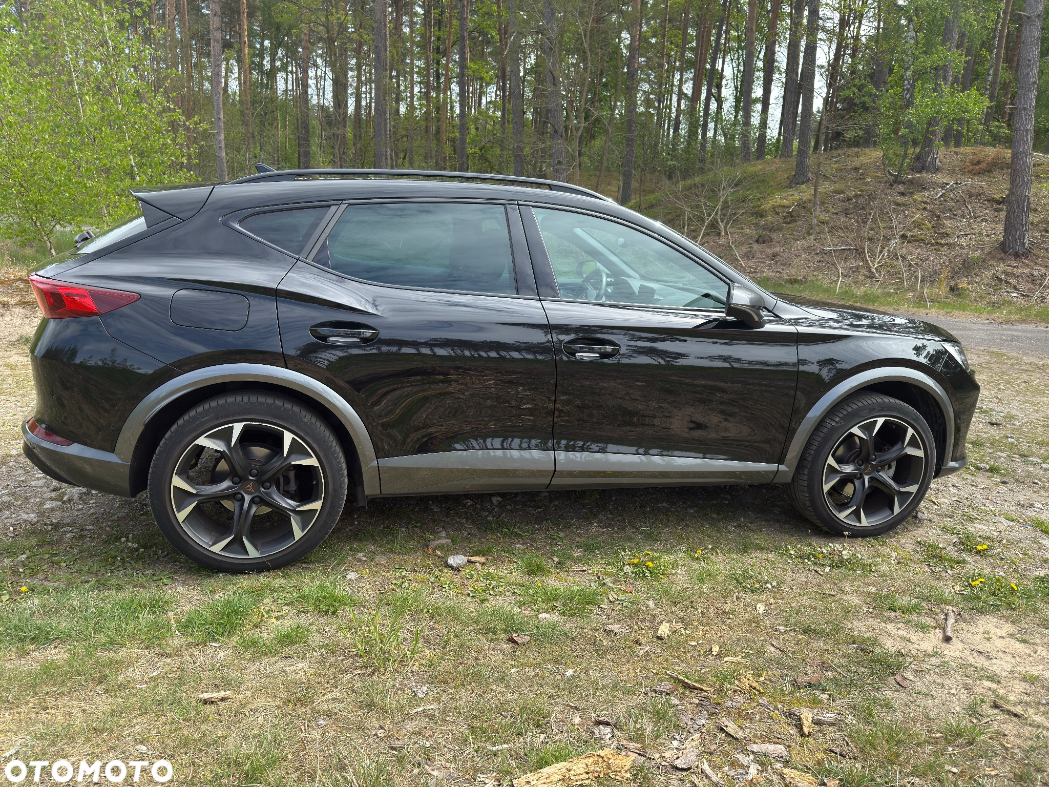 Cupra Formentor 1.5 TSI DSG - 7