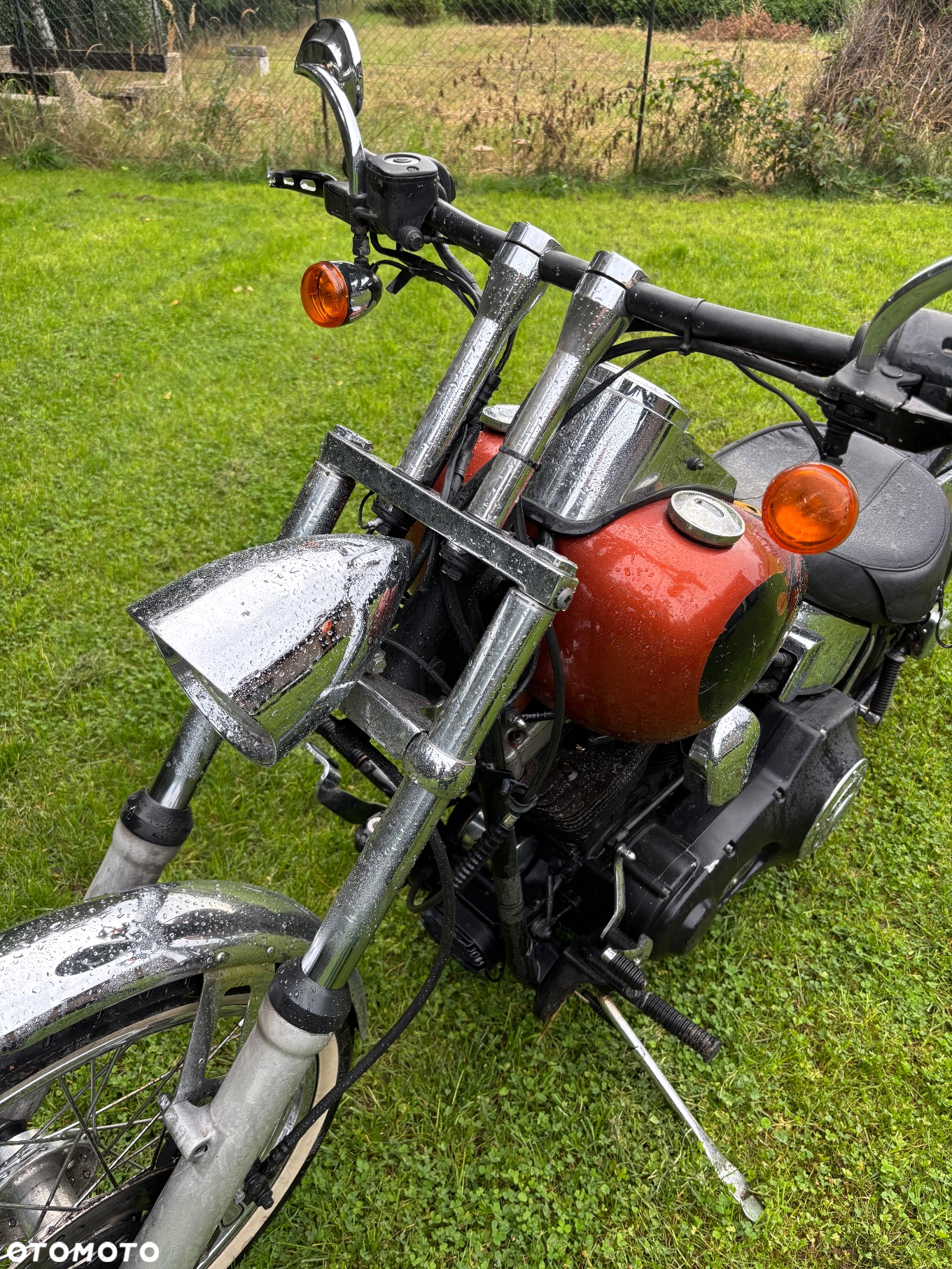 Harley-Davidson Softail Standard - 11