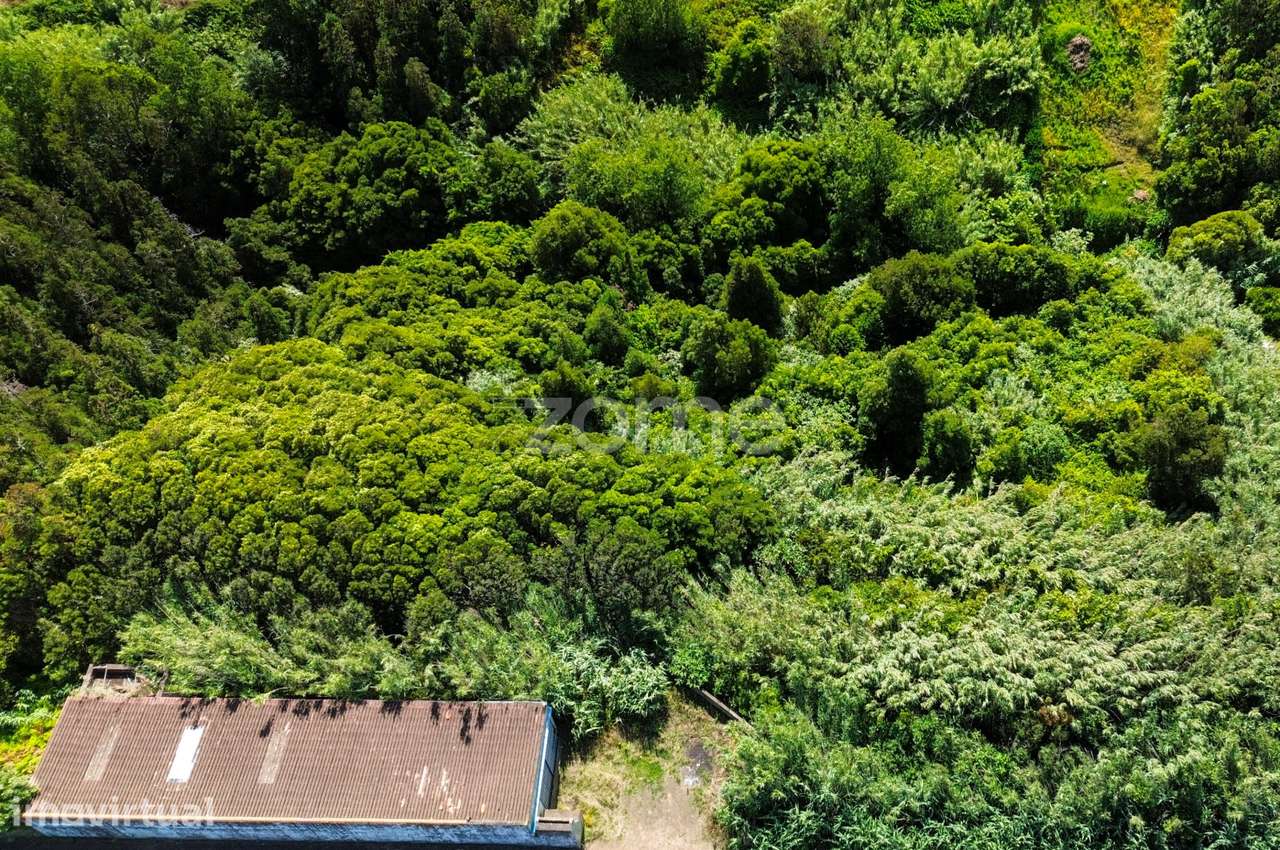 Terreno Rústico, 1/2 de 10.380 m² – Lomba de São Pedro - Grande imagem: 3/15