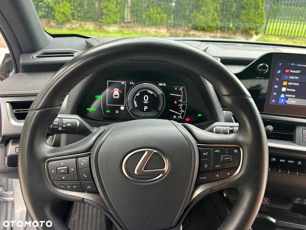 Lexus UX 250h GPF F Sport 2WD - 18