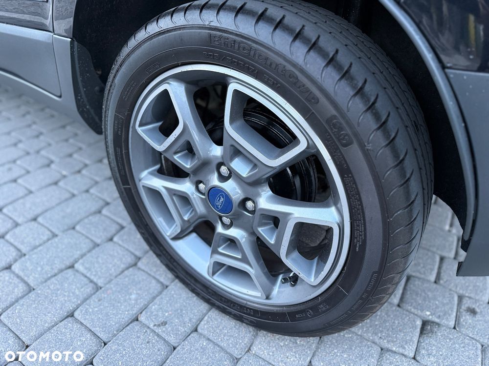 Ford EcoSport 1.0 EcoBoost - 30
